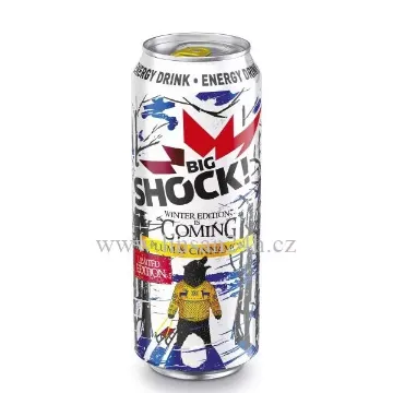 Big Shock 0,5L Plum Cinnamon - Limited Edition 4x6ks/b