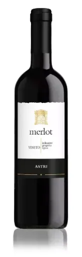 Astri 0,7L Merlot