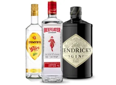 Obrázek pro kategorii Gin